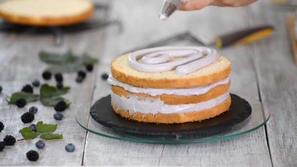 Confectioner i köket gör en svampkaka med bärgrädde. Begreppet hembakat bakverk, matlagning kakor. Serie — Stockvideo