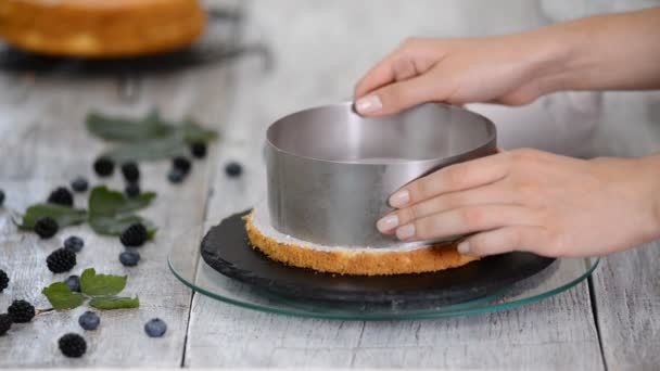 年轻女人在厨房里用蓝莓慕斯做海绵蛋糕。 自制糕点、烹调蛋糕的概念 — 图库视频影像