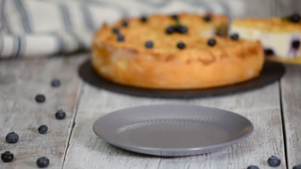 식탁 위에 놓인 블루베리 치즈 케이크 한 조각. — 비디오