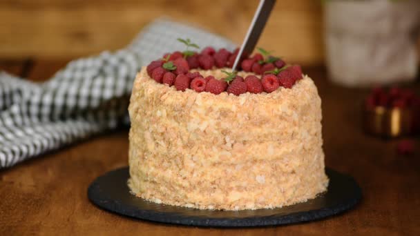 Frau schneidet köstlichen hausgemachten Blätterteig Kuchen Napoleon geschichtet mit Puddingcreme. — Stockvideo