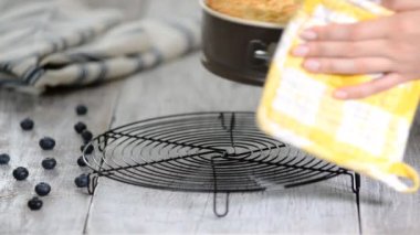 Taze pişmiş yaban mersinli kek..