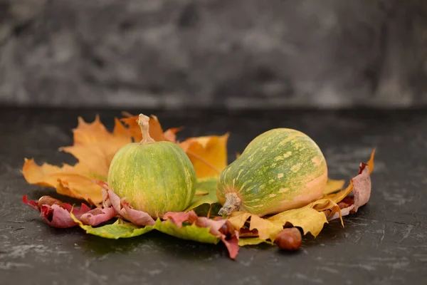 Deux petites citrouilles sur des feuilles d'automne isolées dans les coulisses noires . — Photo