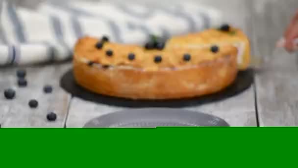 Kousek borůvkového tvarohového koláče na talíři. — Stock video