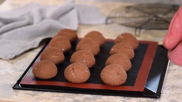 Freshly baked chocolate profiteroles on baking sheet. — Stock Video