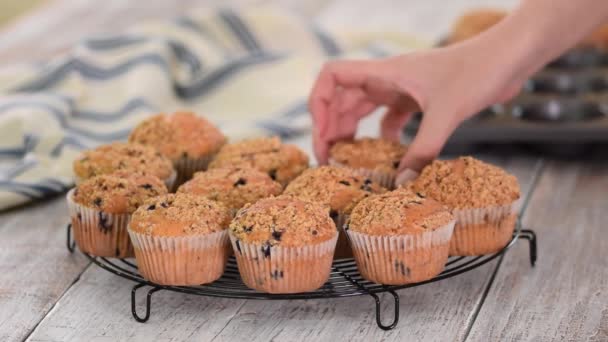Hausgemachte Blaubeer-Muffins zum Frühstück. — Stockvideo