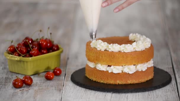 과자 봉지에 크림을 넣은 체리 케이크를 장식하는 모습. — 비디오