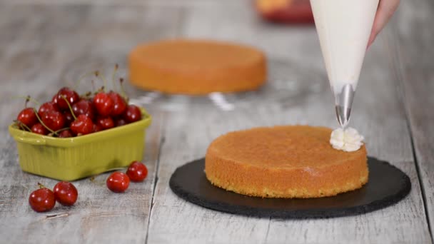 Decorar un pastel de cereza con crema de la bolsa de pastelería . — Vídeo de stock