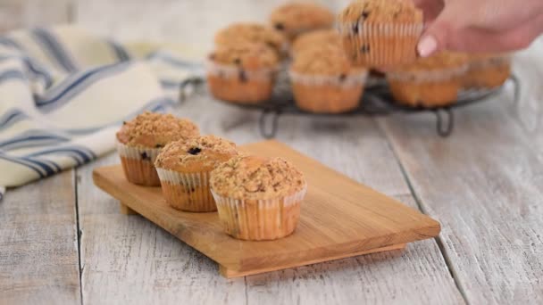 Muffins caseros de arándanos para el desayuno . — Vídeos de Stock