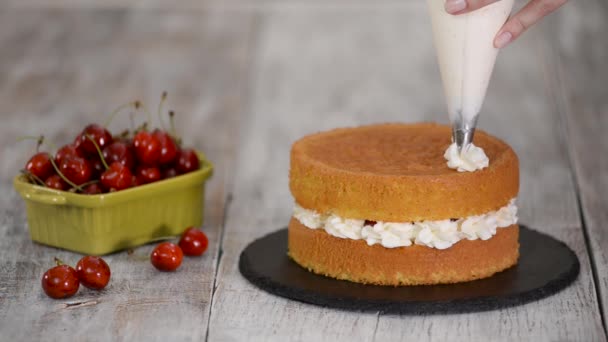 Decorar un pastel de cereza con crema de la bolsa de pastelería . — Vídeos de Stock