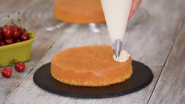 Decorar un pastel de cereza con crema de la bolsa de pastelería . — Vídeos de Stock