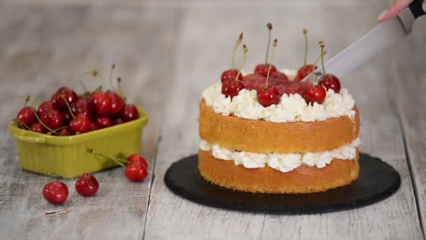 Woman is Cutting The Naked Cherry Cake With Vanilla Cream. — Stock Video