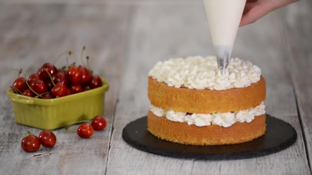 Decorar un pastel de cereza con crema de la bolsa de pastelería . — Vídeos de Stock