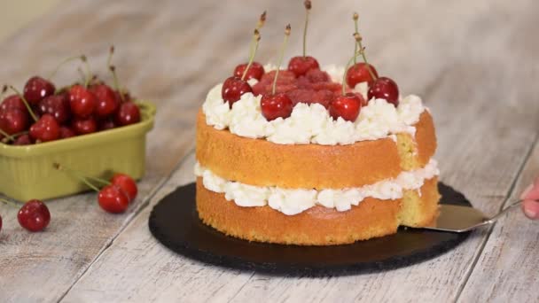 O bolo de cereja nu com creme de baunilha . — Vídeo de Stock