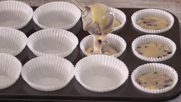 Verter la masa de arándanos en tazas de magdalenas. Muffins de arándano para hornear mujer . — Vídeo de stock