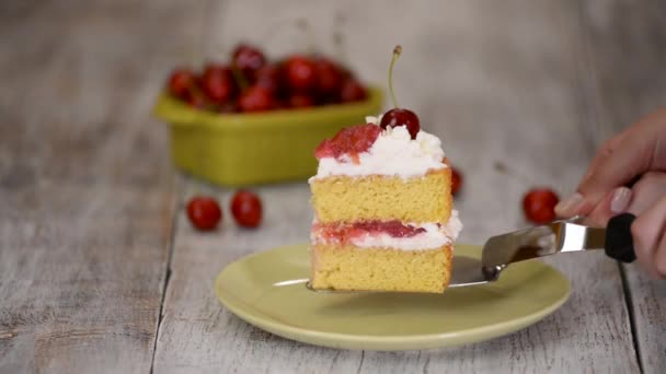 Piece of Cherry Cake With Vanilla Cream. — Stock Video