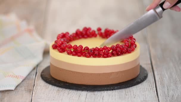 Tagliare una tripla mousse al cioccolato con ribes rosso. — Video Stock