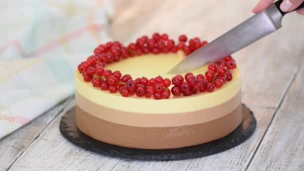 Cortar un pastel de mousse de chocolate triple con grosella roja. — Vídeos de Stock