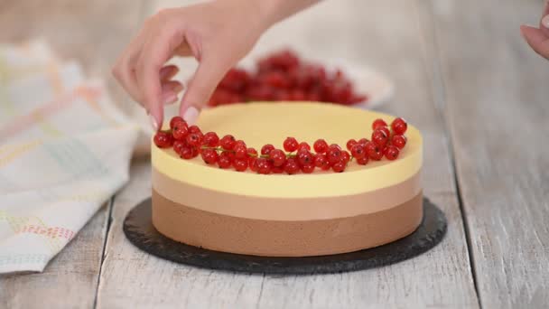 Pastel de mousse de chocolate triple decorar con bayas frescas. — Vídeos de Stock