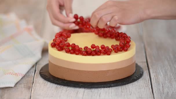 Trippel choklad mousse tårta dekorera med färska bär. — Stockvideo