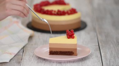 Bir parça kırmızı üzümlü çikolatalı mus keki..