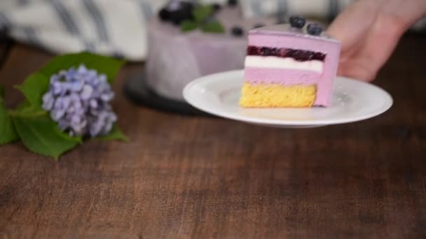 Piece of Layered Berry Mousse Cake with Mirror Glaze. — Stock video