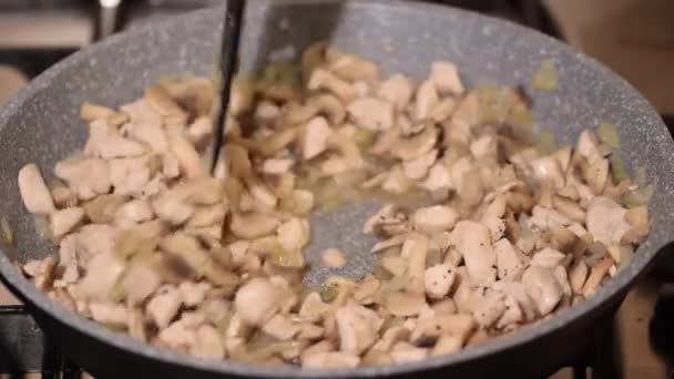 Gebratenes Hühnerfleisch Champignons Und Zwiebeln Aus Nächster Nähe Der Pfanne — Stockvideo