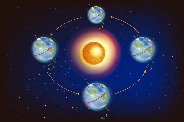 The Seasons on Earth. Illustration showing Earth's position in relation to the Sun at the equinoxes and solstices.