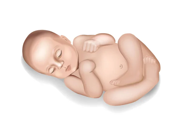 Realistische Pasgeboren Kleine Baby Vectorillustratie — Stockvector