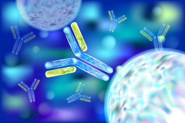 Antibody (Ab), also known as an immunoglobulin (Ig). 3d vector. 