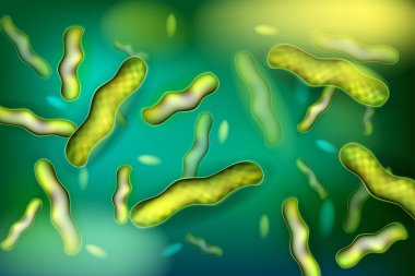 Bakteri Lactobacillus, gram pozitif çubuk şeklinde laktik asit bakteri. 