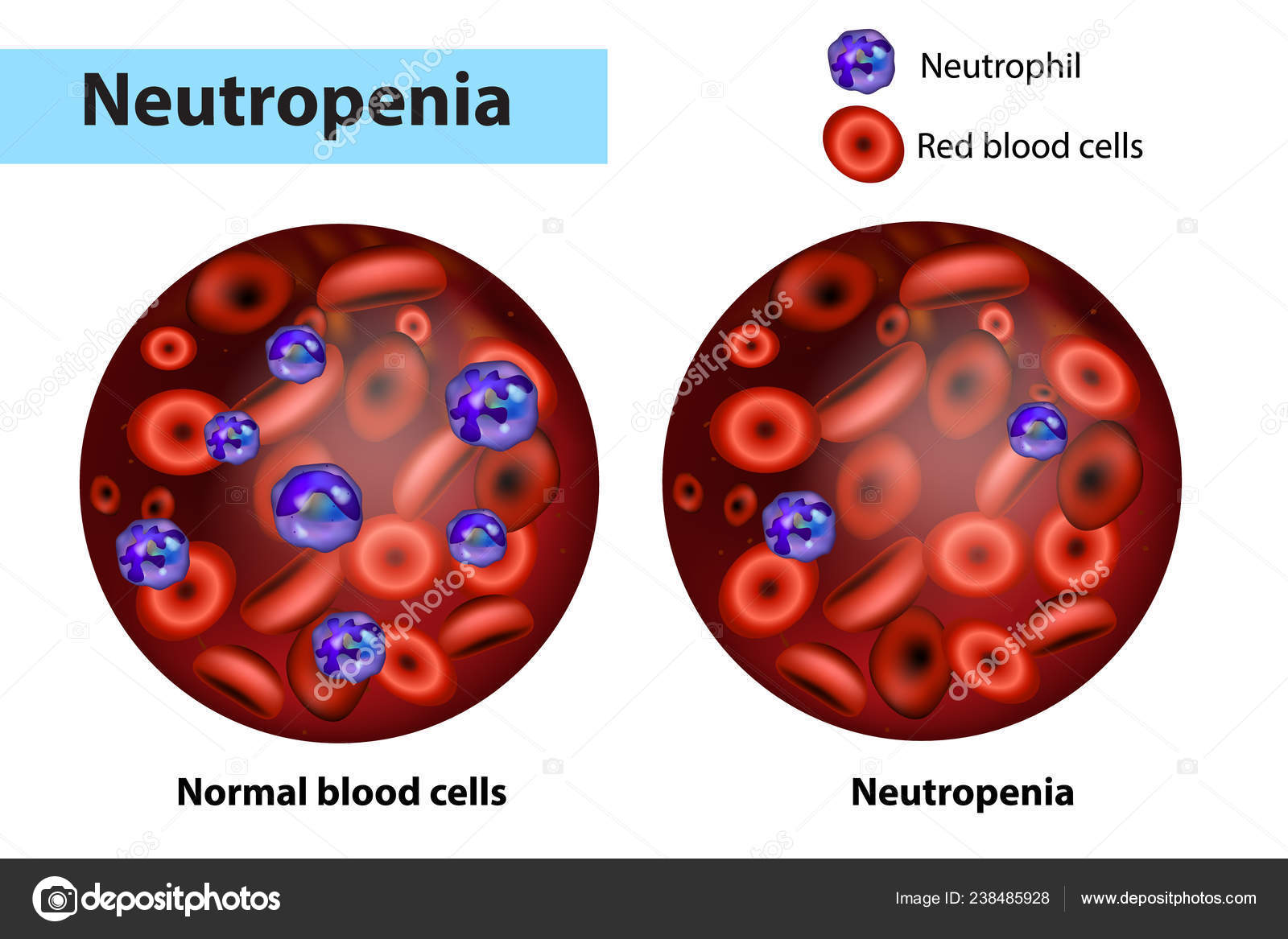 Mascot Osmosis Costume for hvite blodlegemer, Osmosis Jones, dyrefigur,  Kunst, Celle png | PNGWing, image size:1600x1167