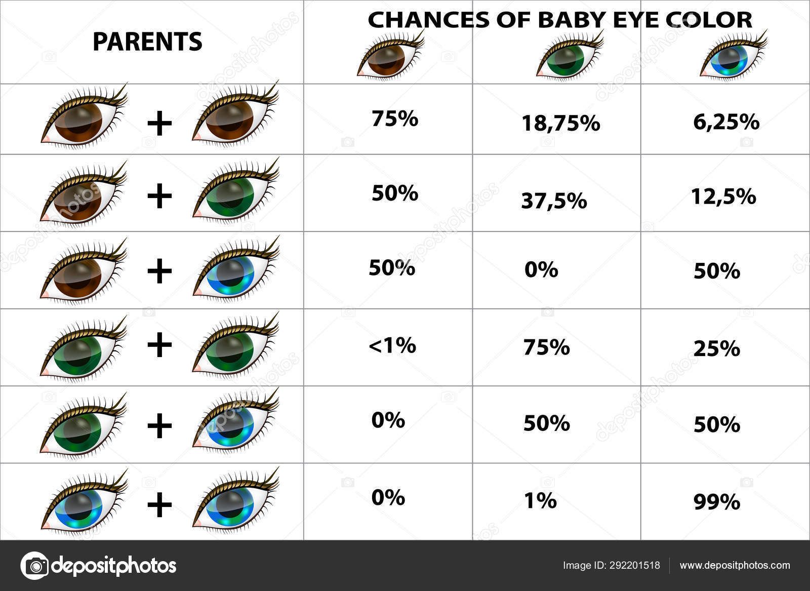Eye Color Genetics Chart