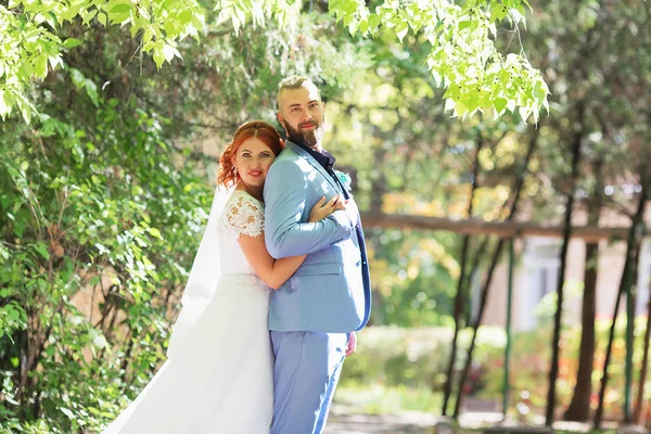 Apenas Casado Casal Hipster Amoroso Vestido Noiva Terno Parque Noiva — Fotografia de Stock