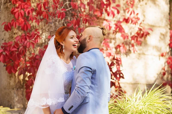 Apenas Casado Casal Hipster Amoroso Vestido Noiva Terno Parque Noiva — Fotografia de Stock