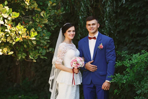 Apenas Casado Casal Hipster Amoroso Vestido Noiva Terno Parque Noiva — Fotografia de Stock