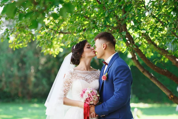 Apenas Casado Casal Hipster Amoroso Vestido Noiva Terno Parque Noiva — Fotografia de Stock