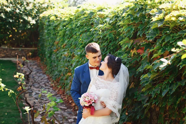 Apenas Casado Casal Hipster Amoroso Vestido Noiva Terno Parque Noiva — Fotografia de Stock