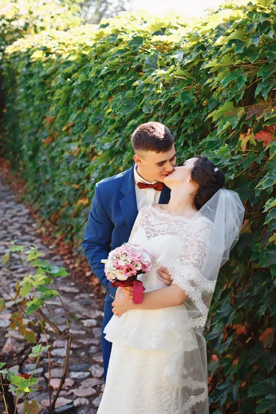 Apenas Casado Casal Hipster Amoroso Vestido Noiva Terno Parque Noiva — Fotografia de Stock