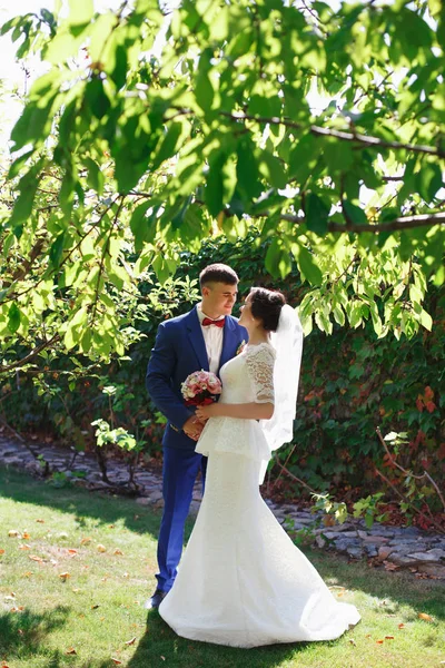 Apenas Casado Casal Hipster Amoroso Vestido Noiva Terno Parque Noiva — Fotografia de Stock