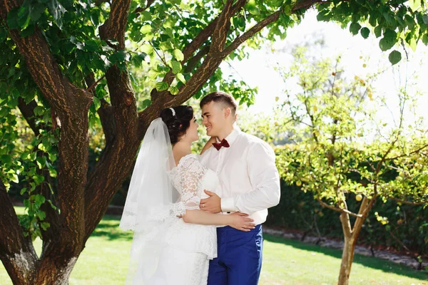 Apenas Casado Casal Hipster Amoroso Vestido Noiva Terno Parque Noiva — Fotografia de Stock