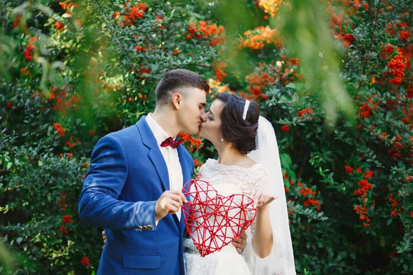 Csak Szerető Csípő Házaspár Esküvői Ruha Öltöny Parkban Boldog Menyasszony — Stock Fotó