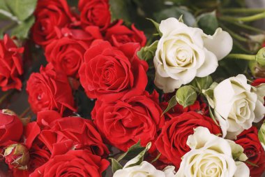 Buket taze kırmızı ve beyaz gül, çiçek parlak arka plan