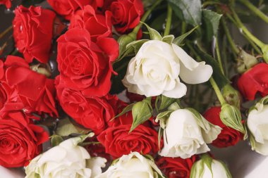 Buket taze kırmızı ve beyaz gül, çiçek parlak arka plan