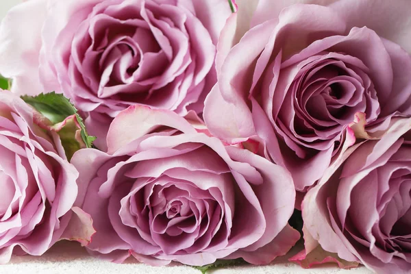 Mor gül çiçek arka plan doku. Makro fotoğrafçılık. Mutlu anneler günü. Sevgililer günü