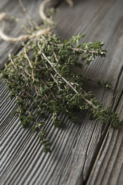 Timian - aromatisk plante af myntefamilien bruges som en kulinarisk - Stock-foto