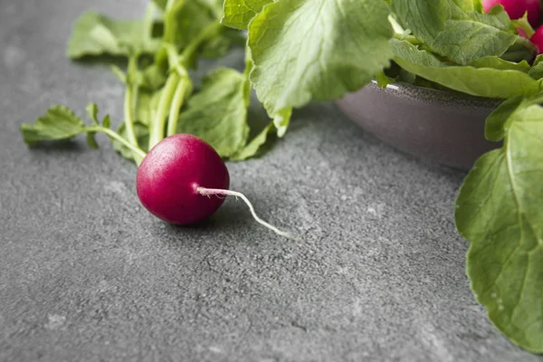 Freshly harvested, purple colorful radish on gray concrete backg — Stock Photo, Image