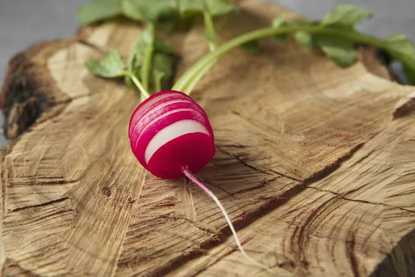 Freshly harvested, purple colorful radish on gray concrete backg — Stock Photo, Image