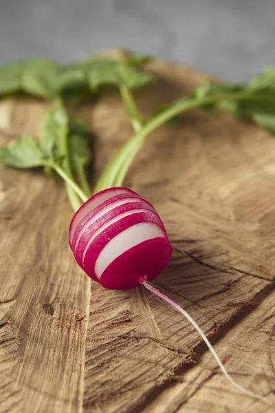 Freshly harvested, purple colorful radish on gray concrete backg — Stock Photo, Image