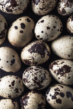 Bıldırcın yumurtası. Bl üzerinde küçük bıldırcın yumurtaları ile Düz yatıyordu kompozisyon