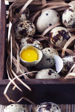 Bıldırcın yumurtası. Wo küçük bıldırcın yumurtası ile Düz yatıyordu kompozisyon
